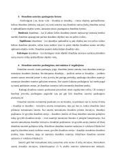 Draudimo sutarčių sudarymo principai 7 puslapis