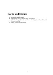 Katapultas. Kampu į horizontą mesto kūno judėjimui tirti 6 puslapis