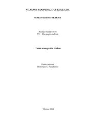 Konstitucija. Viešasis administravimas