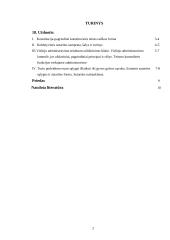 Konstitucija. Viešasis administravimas 2 puslapis