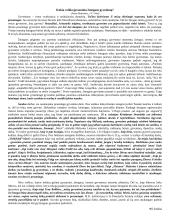 Kokia veikla įprasmina žmogaus gyvenimą? (Jonas Radvanas, J.V. Gėtė)