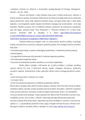 Korporacinės strategijos 5 puslapis