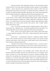 Korporacinės strategijos 7 puslapis