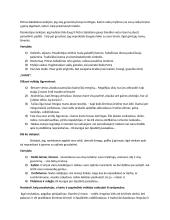 Jonas Biliūnas - Lazda, Ubagas ir Vagis 2 puslapis