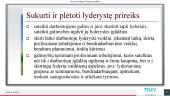 Lyderystė. Kas tai? 12 puslapis