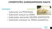 Lyderystė. Kas tai? 5 puslapis