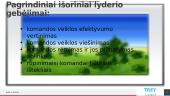 Lyderystė. Kas tai? 7 puslapis