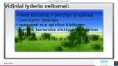 Lyderystė. Kas tai? 8 puslapis