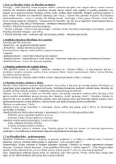 Filosofijos egzamino atsakymai 1 puslapis