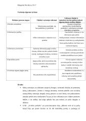 Marketingo tyrimas: elektronikos parduotuvių tinklas UAB "Avitelos prekyba" 11 puslapis