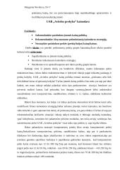 Marketingo tyrimas: elektronikos parduotuvių tinklas UAB "Avitelos prekyba" 12 puslapis