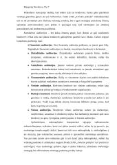 Marketingo tyrimas: elektronikos parduotuvių tinklas UAB "Avitelos prekyba" 5 puslapis