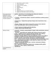 Realizmas. J. Biliūnas. Vagis 2 puslapis