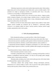 Praktinė verslo analizė: UAB "Omnitel" 12 puslapis