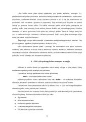 Praktinė verslo analizė: UAB "Omnitel" 13 puslapis