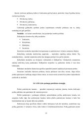 Praktinė verslo analizė: UAB "Omnitel" 14 puslapis