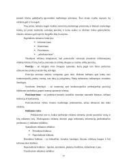 Praktinė verslo analizė: UAB "Omnitel" 17 puslapis