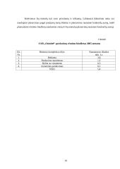 Praktinė verslo analizė: UAB "Omnitel" 19 puslapis