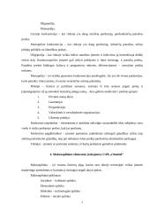 Praktinė verslo analizė: UAB "Omnitel" 7 puslapis