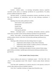 Praktinė verslo analizė: UAB "Omnitel" 8 puslapis