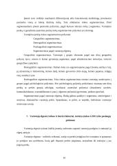 Praktinė verslo analizė: UAB "Omnitel" 10 puslapis