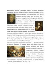 Pranciškaus Smuglevičiaus kūryba 3 puslapis