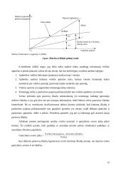 Ribinio pelningumo tyrimas įmonėje 12 puslapis
