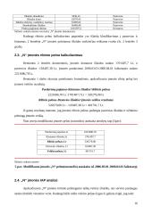 Ribinio pelningumo tyrimas įmonėje 16 puslapis