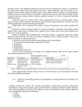 Rinkų segmentavimas 2 puslapis