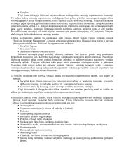 Rinkų segmentavimas 3 puslapis