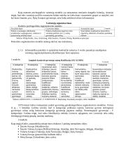 Rinkų segmentavimas 4 puslapis