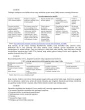 Rinkų segmentavimas 6 puslapis