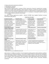 Rinkų segmentavimas 7 puslapis