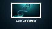 Požymių raiškos dažnio tyrimas 10 puslapis