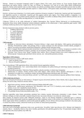 Klientų ryšių valdymas 2 puslapis