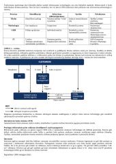 Klientų ryšių valdymas 3 puslapis
