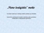 AB „Pieno žvaigždės“ susikūrimas  5 puslapis