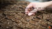 UAB “Klaipėdos duona” 2 puslapis