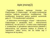 Įmonės pristatymas, analizė: UAB “Vimota“  7 puslapis