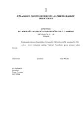 Tekstinių dokumentų rengimas 3 puslapis