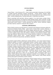 Apie Antaną Škėmą