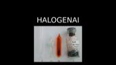 Halogenai: fluoras, bromas, jodas ir chloras