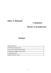 A. Mickevičius. Kūryba Kaune 2 puslapis