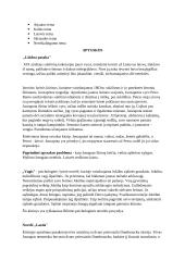 Lietuvių literatūros kartojimas 2 puslapis