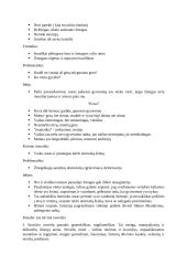 Lietuvių literatūros kartojimas 11 puslapis