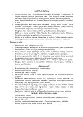 Lietuvių literatūros kartojimas 12 puslapis