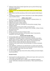 Lietuvių literatūros kartojimas 13 puslapis