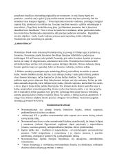 Lietuvių literatūros kartojimas 3 puslapis