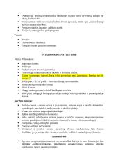 Lietuvių literatūros kartojimas 4 puslapis