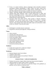 Lietuvių literatūros kartojimas 5 puslapis